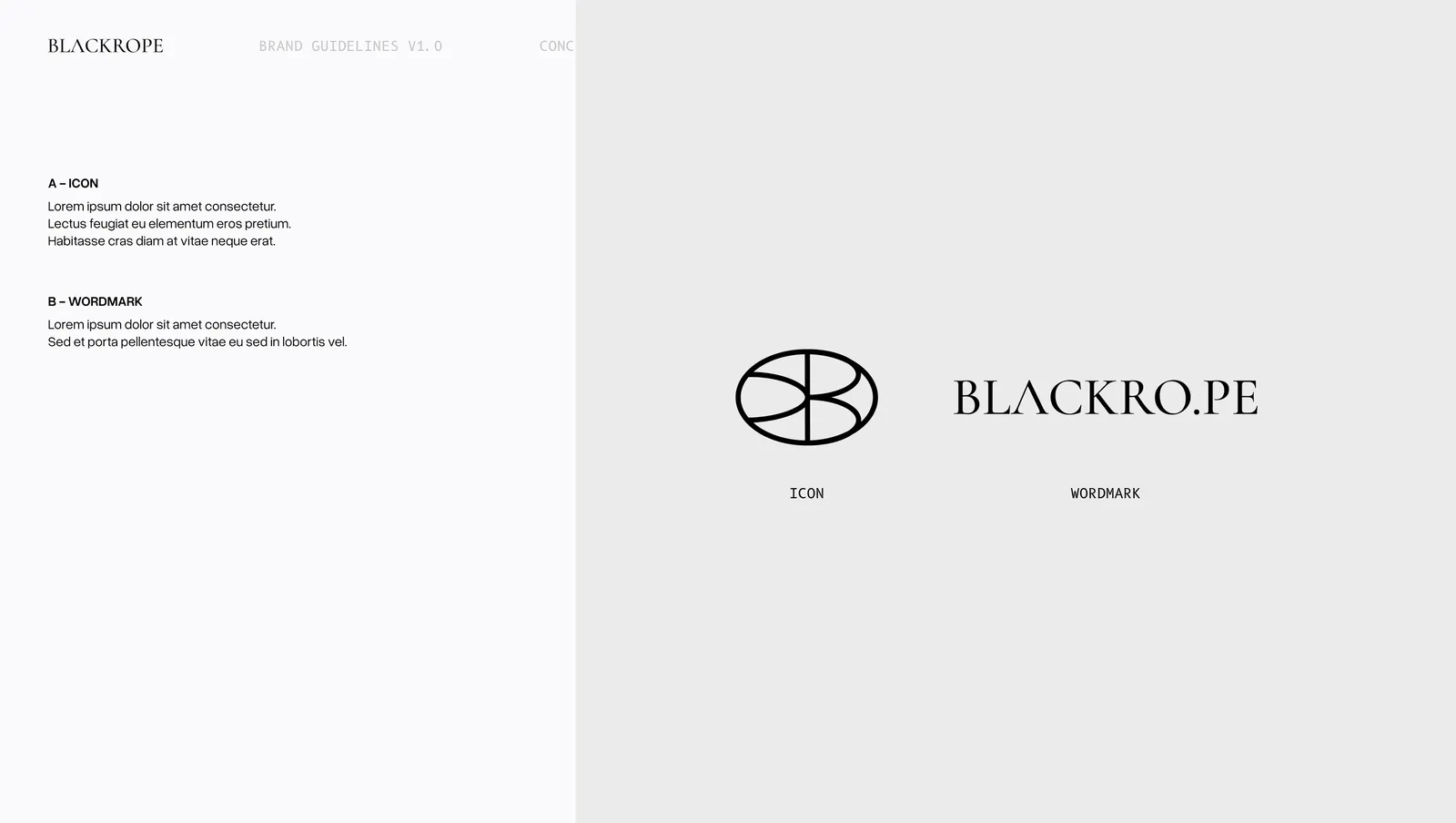 Concept two, the segmented oval icon and the BLACKRO.PE wordmark shown apart and labelled.