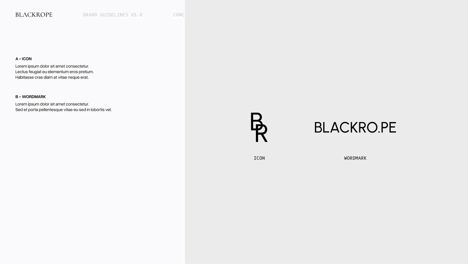 Concept three, the geometric BR monogram and the BLACKRO.PE wordmark shown apart and labelled.