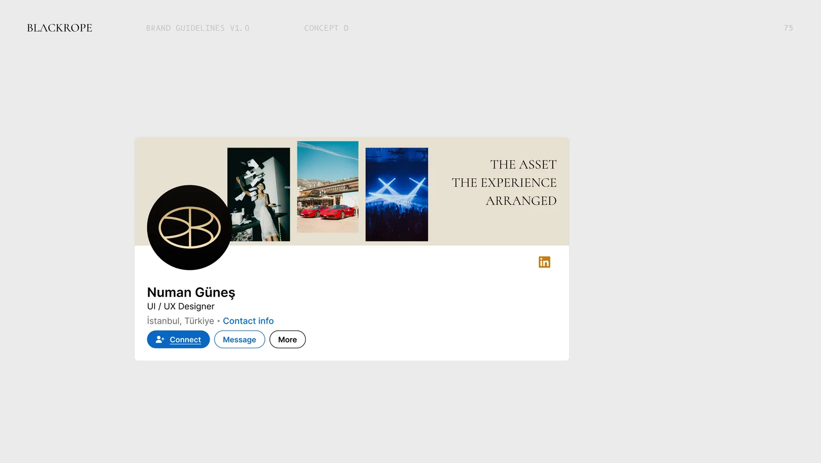 Concept four on LinkedIn, the banner reading "The asset, the experience, arranged".