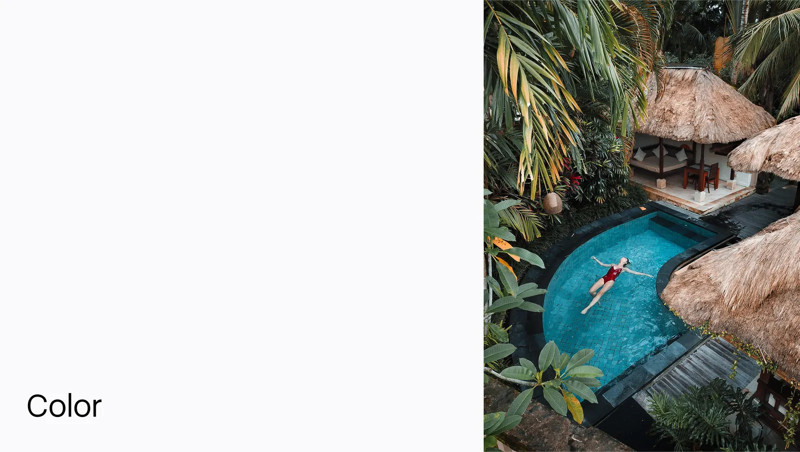 The color section opener, an aerial of a swimmer in a pool cut into the jungle.