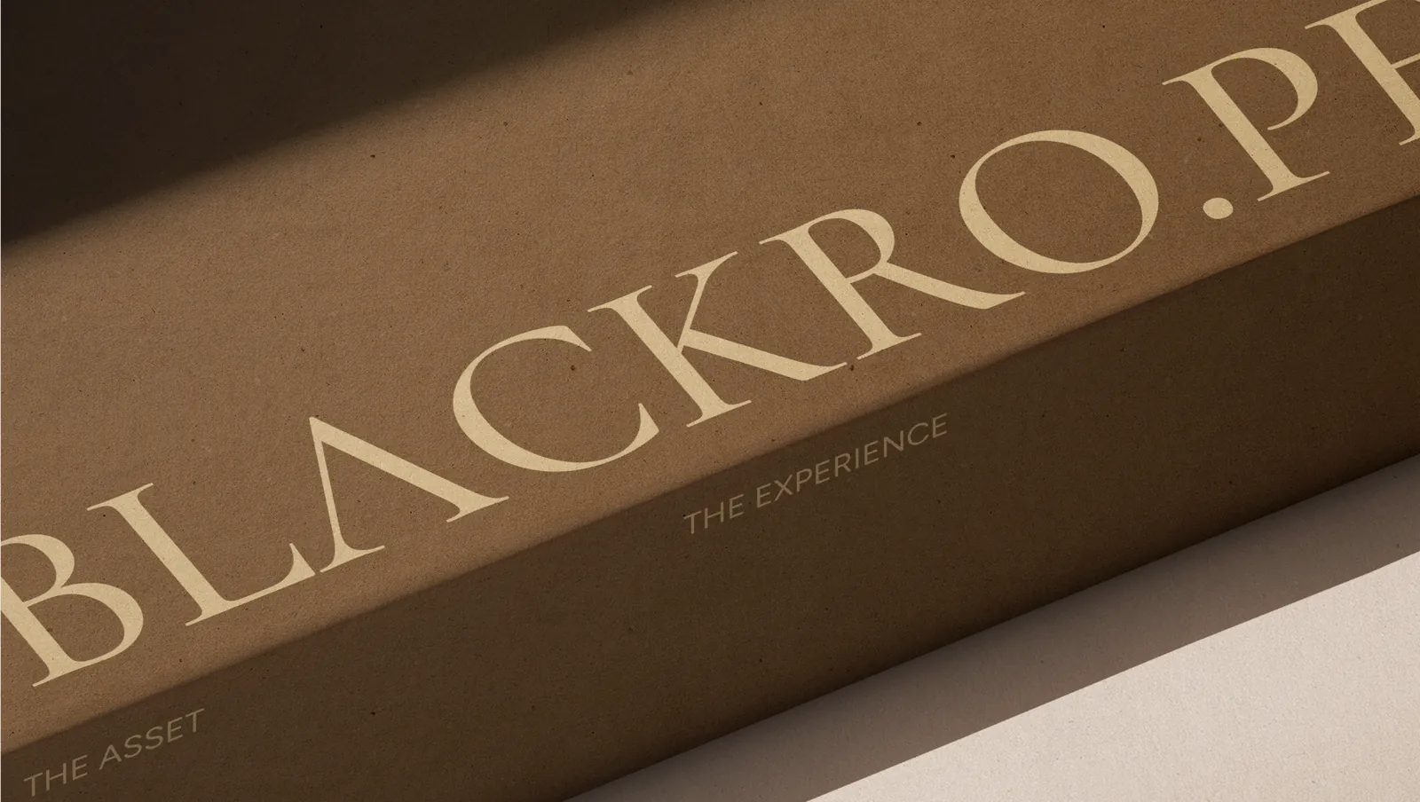 A kraft box lid in raking light, the wordmark and "The asset, the experience" printed in gold.